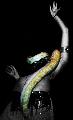 snake dance